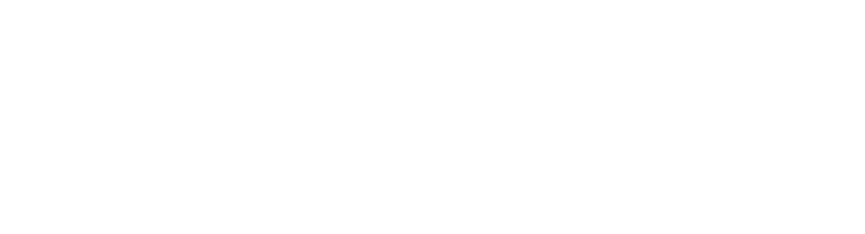 Vibrant Property Solutions